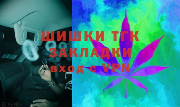 хмурый Бердск