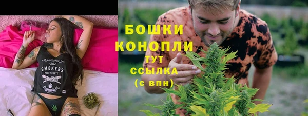 хмурый Бердск