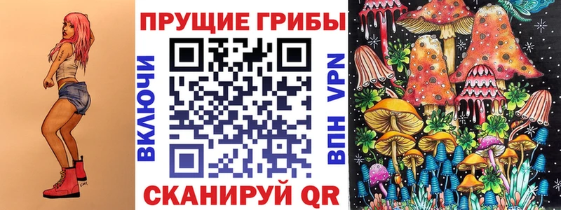 блэк спрут ССЫЛКА  Пенза  Галлюциногенные грибы Psilocybe 