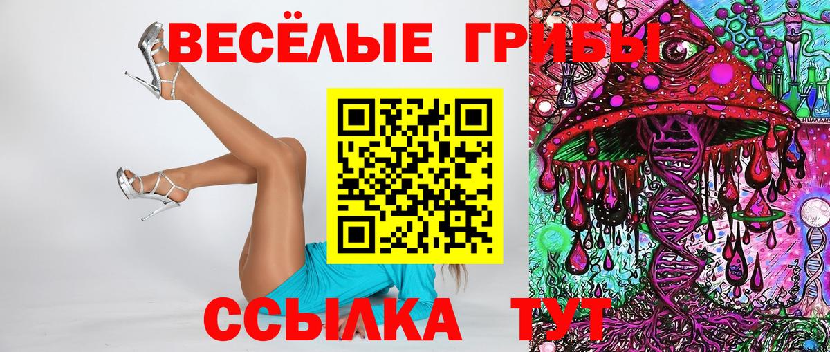 Псилоцибиновые грибы Psilocybine cubensis  Пенза  Псилоцибиновые грибы ЛСД 